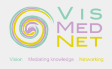 VisMedNet